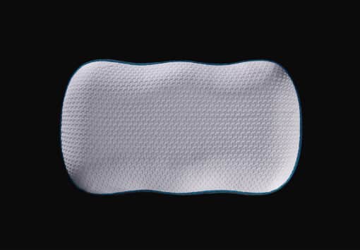 Ergo Pillow